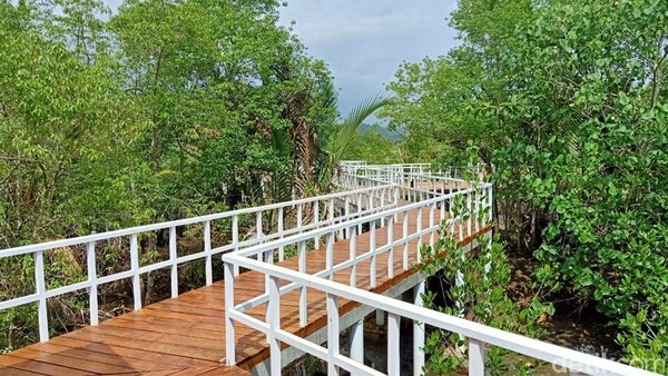 keuntungan smartdailyjournal, fasilitas smartdailyjournal, keunggulan smartdailyjournal, program smartdailyjournal, lokasi smartdailyjournal